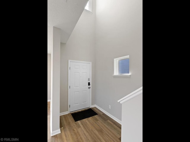 foyer featuring baseboards, a towering ceiling, and wood finished floors