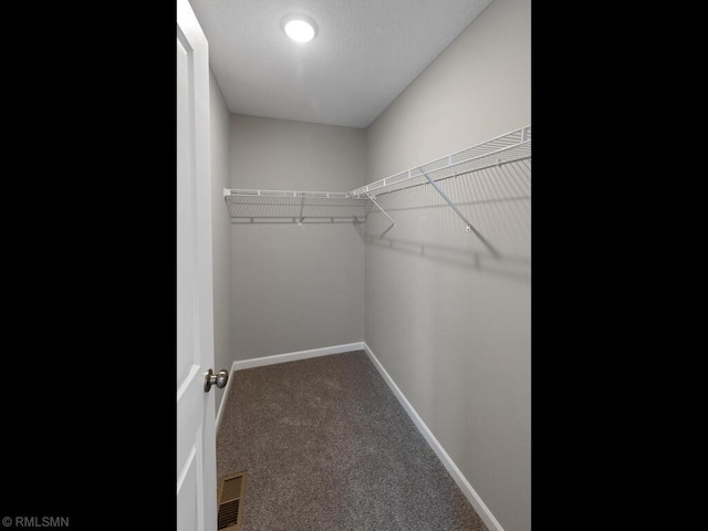 walk in closet with visible vents and carpet flooring