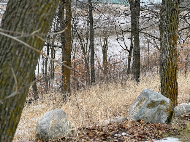 view of landscape