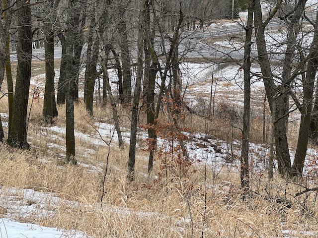 view of snow covered land