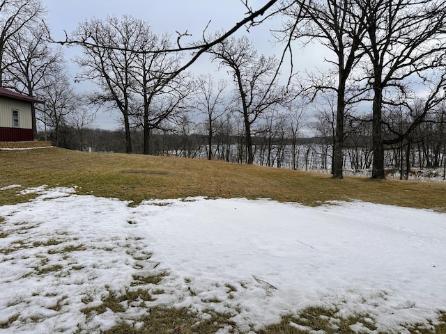 view of snowy yard