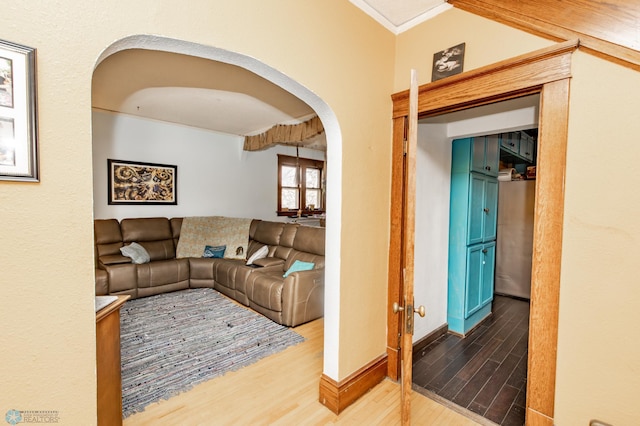 living room featuring crown molding, baseboards, and wood finished floors