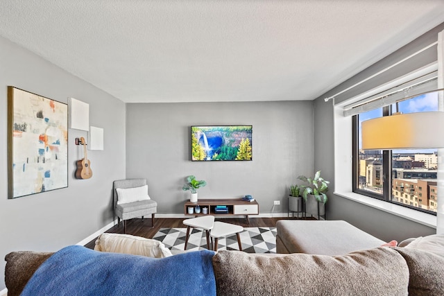 living area featuring a textured ceiling, baseboards, and wood finished floors