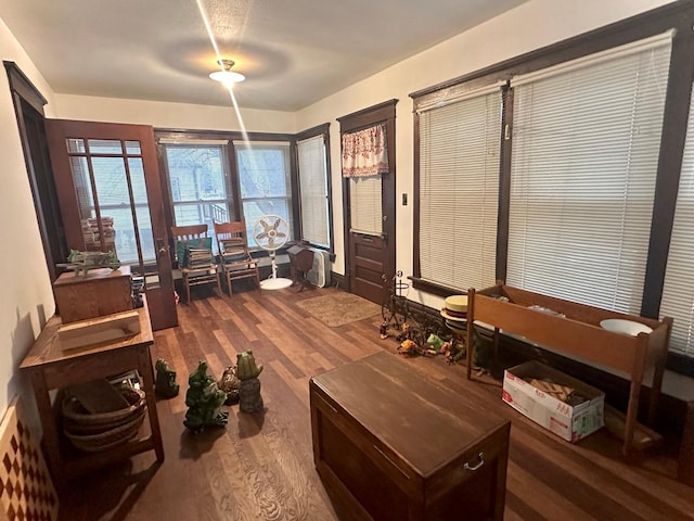 interior space with wood finished floors