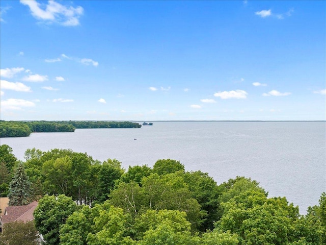 property view of water