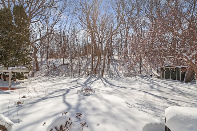 view of yard covered in snow