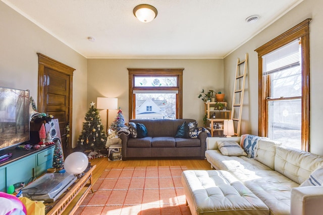 living area with light wood-type flooring and a wealth of natural light