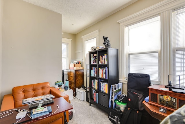 carpeted office space featuring a healthy amount of sunlight and a textured ceiling