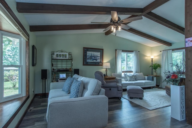 living room with dark wood-style flooring, visible vents, lofted ceiling with beams, ceiling fan, and baseboards