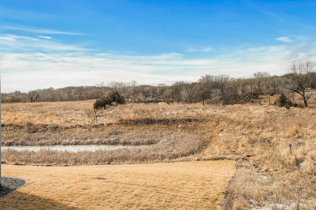 view of landscape featuring a rural view