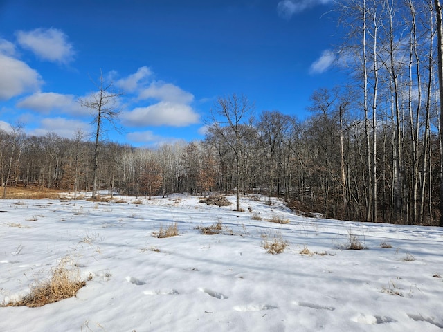 Listing photo 3 for TractD County Road 12, Ironton MN 56455