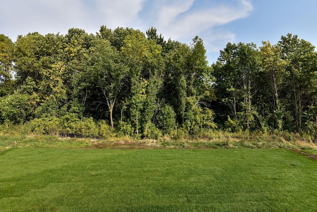 14196 77th Ln NE, Otsego, MN 55330 - view of yard