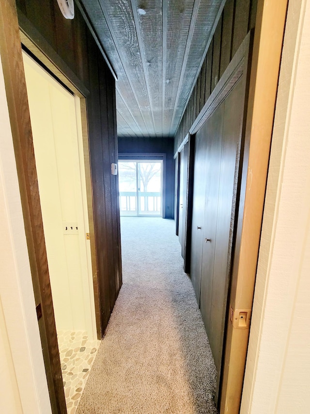 hall featuring carpet floors