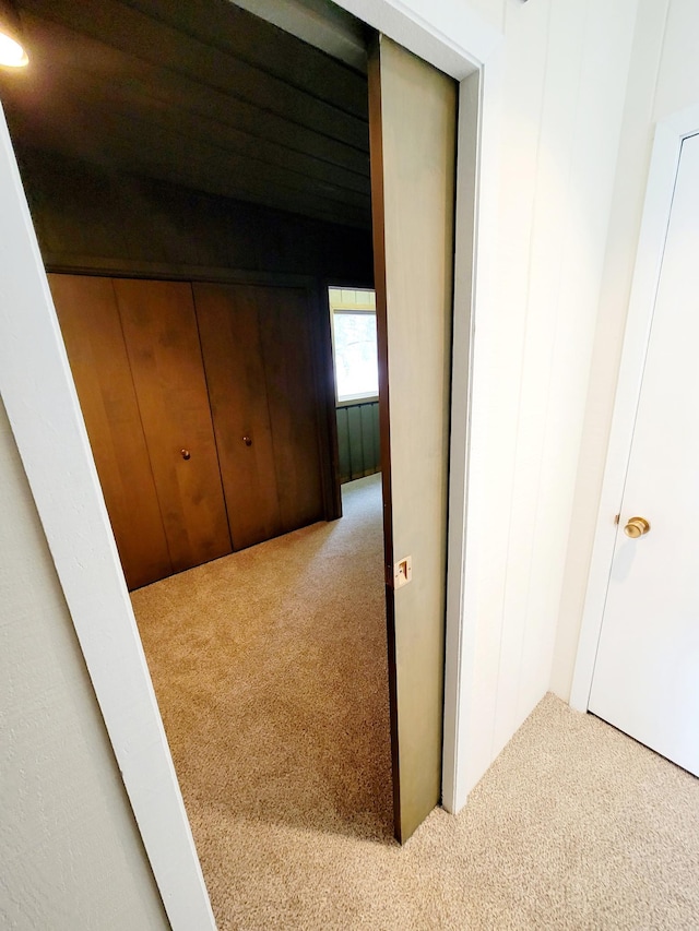 hall featuring carpet