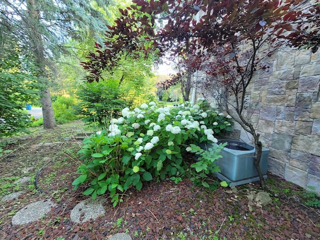 view of yard featuring cooling unit