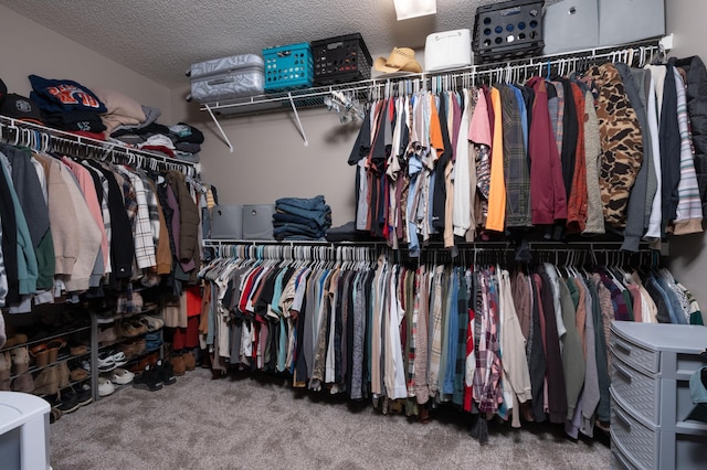 walk in closet with carpet