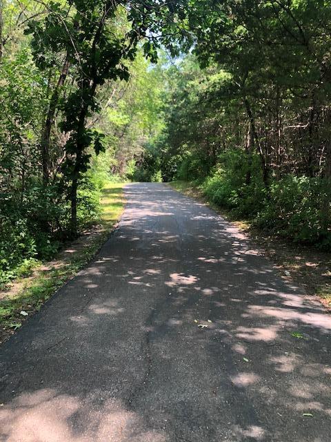 view of street with a view of trees