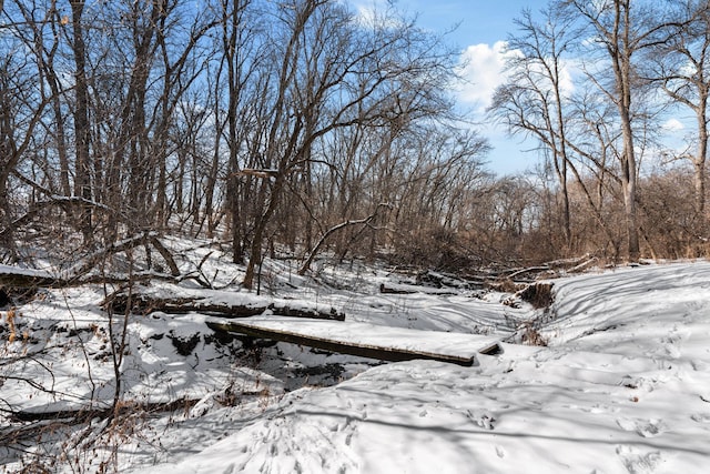 view of snowy landscape