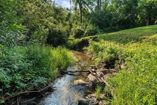 view of nature