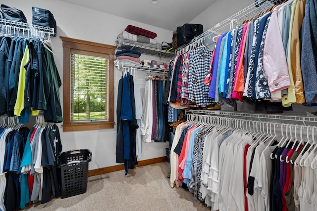 spacious closet featuring carpet