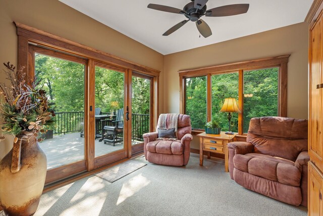 10060 82nd Ave, Ellendale, MN 56026 - living room featuring carpet, lofted ceiling, healthy amount of natural light, and a ceiling fan