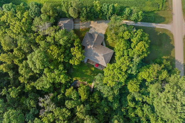 10060 82nd Ave, Ellendale, MN 56026 - view of property location with rural landscape