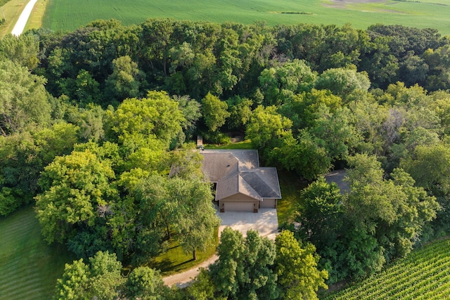 10060 82nd Ave, Ellendale, MN 56026 - view of rural area