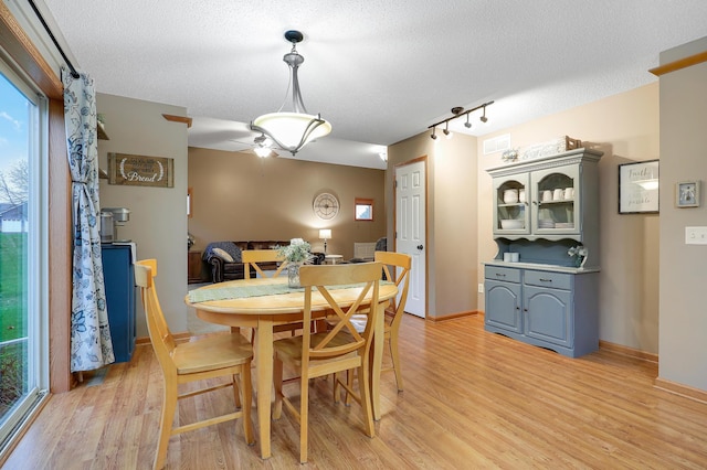 5108 Harvest Curv, Mayer, MN 55360 - dining area with baseboards, a textured ceiling, light wood-style flooring, and rail lighting