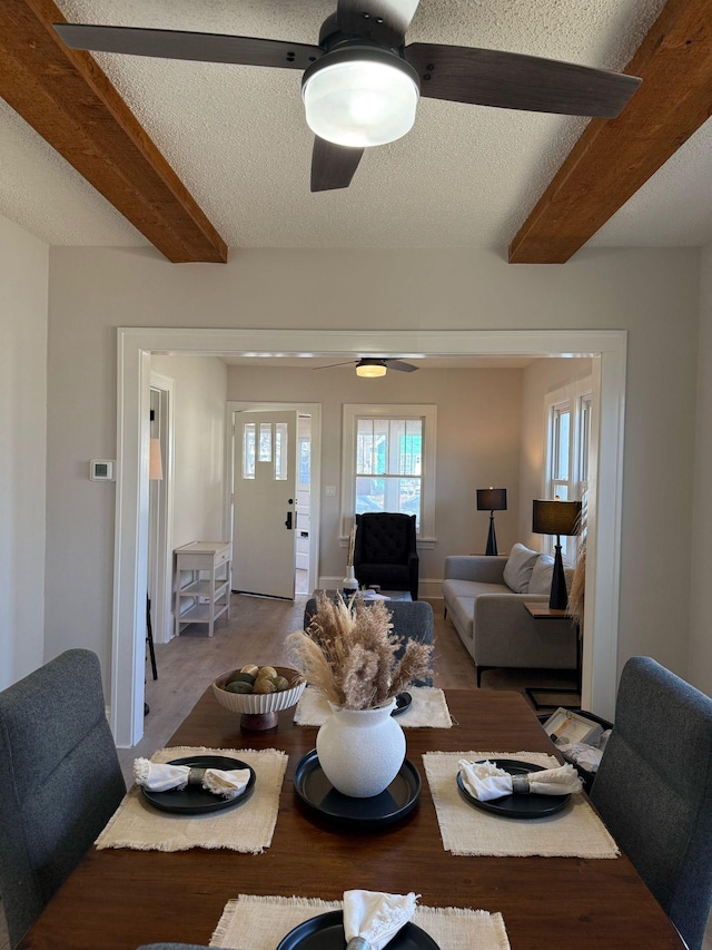 dining room with ceiling fan, a textured ceiling, beam ceiling, and wood finished floors