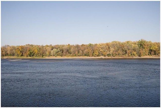 water view with a view of trees