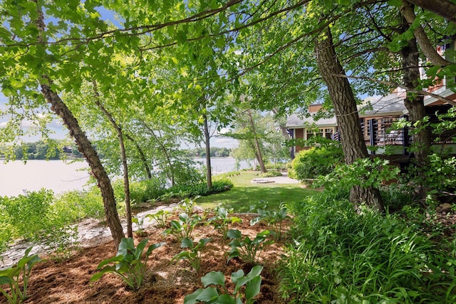 view of yard with a water view