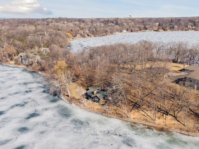 aerial view with a water view and a view of trees