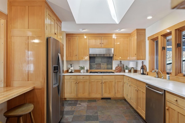 kitchen with a skylight, a sink, exhaust hood, light countertops, and appliances with stainless steel finishes