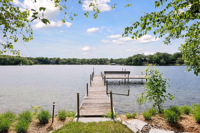 5740 Christmas Lake Pt, Shorewood, MN 55331 - photo 3