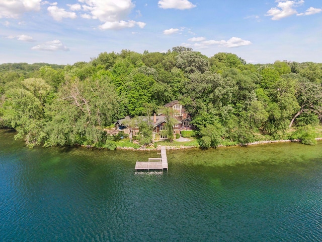 5740 Christmas Lake Pt, Shorewood, MN 55331 - photo 13