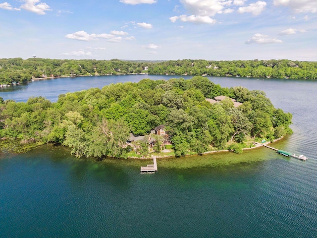 5740 Christmas Lake Pt, Shorewood, MN 55331 - photo 14