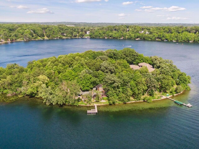 5740 Christmas Lake Pt, Shorewood, MN 55331 - photo 15
