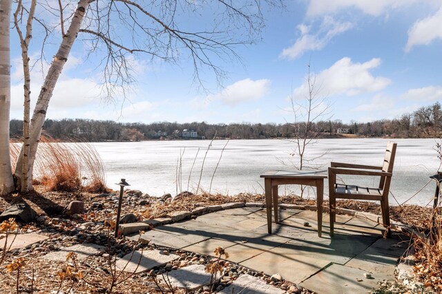 5740 Christmas Lake Pt, Shorewood, MN 55331 - photo 101