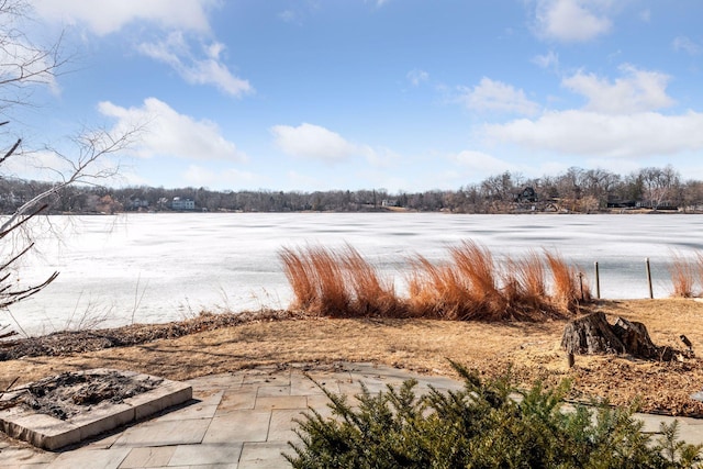5740 Christmas Lake Pt, Shorewood, MN 55331 - photo 102