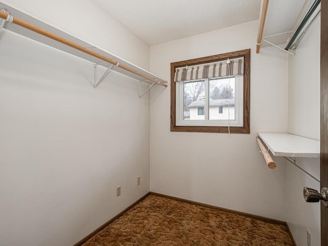 walk in closet featuring carpet and built in study area