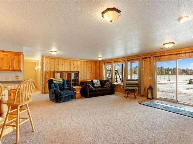 carpeted living area with wooden walls and a textured ceiling