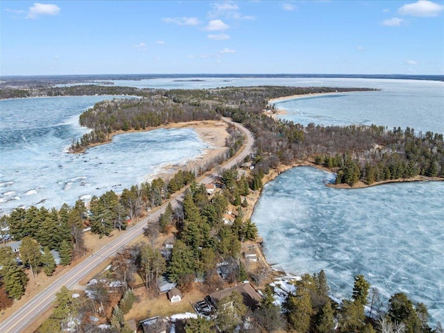 drone / aerial view featuring a view of trees and a water view