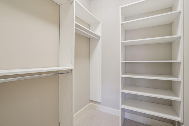 view of walk in closet