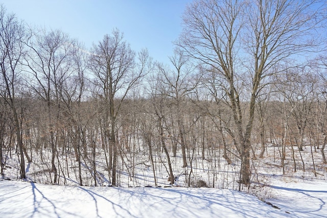 view of snowy yard