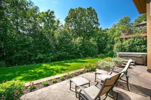 9730 Sky Ln, Eden Prairie, MN 55347 - view of patio / terrace with a hot tub