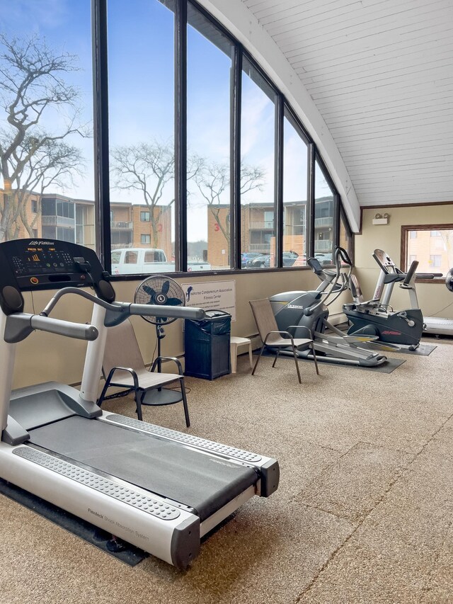 5440 Three Points Blvd Unit 513, Mound, MN 55364 - view of workout area