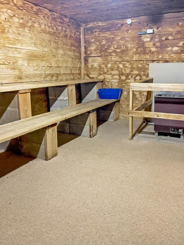 5440 Three Points Blvd Unit 513, Mound, MN 55364 - interior space featuring carpet floors and wooden walls