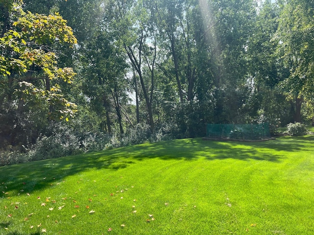 view of yard with a forest view