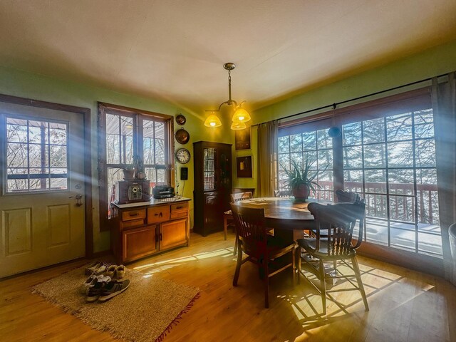 dining space with light wood-style flooring, a chandelier, and a wealth of natural light