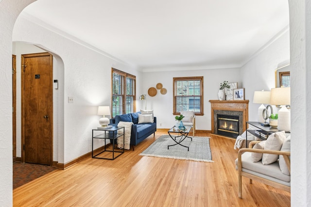 5824 10th Ave S, Minneapolis, MN 55417 - living room with arched walkways, wood finished floors, a premium fireplace, and baseboards